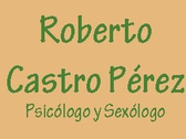 Roberto Castro Pérez
