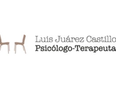 Luis Juárez Castillo