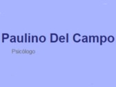 Paulino del Campo