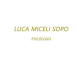 Luca Miceli Sopo