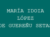 María Idoia López De Guereñu Setas