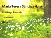 María Teresa Sánchez Haro