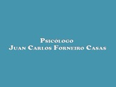 Juan Carlos Forneiro Casas