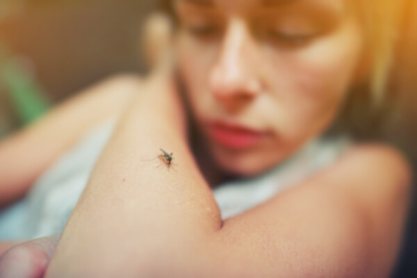 Cómo afrontar el miedo a los insectos