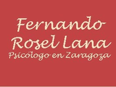 Dr. Fernando Rosel Lana