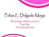 Felisa E. Delgado