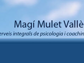 Magí Mulet Vallès