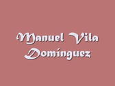 Manuel Vila Domínguez