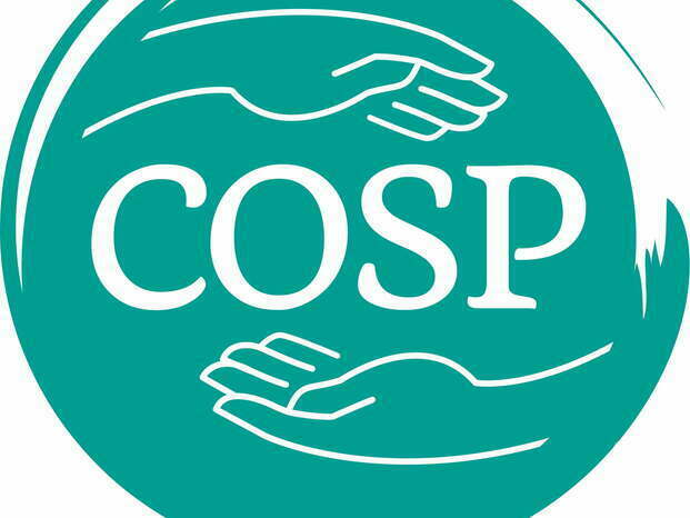 COSP -  Círculo de Seguridad Parental