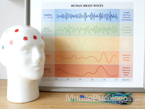 Human brain waves