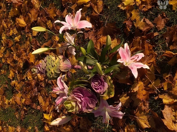 20191105_125931.jpg Flores y hojas secas. El simbolo  de  la vida y la muerte