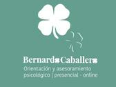 Bernardo Caballero