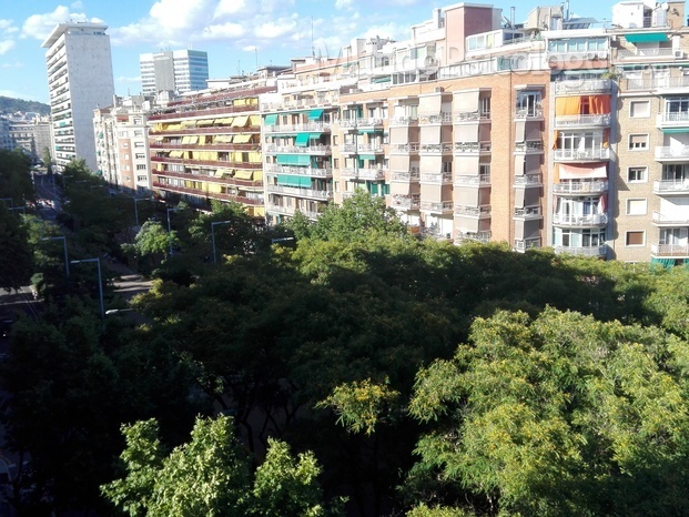 La consulta está en la Avenida Josep Tarradellas, en el barrio barcelonés de Les Corts