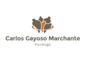 Carlos Gayoso Marchante