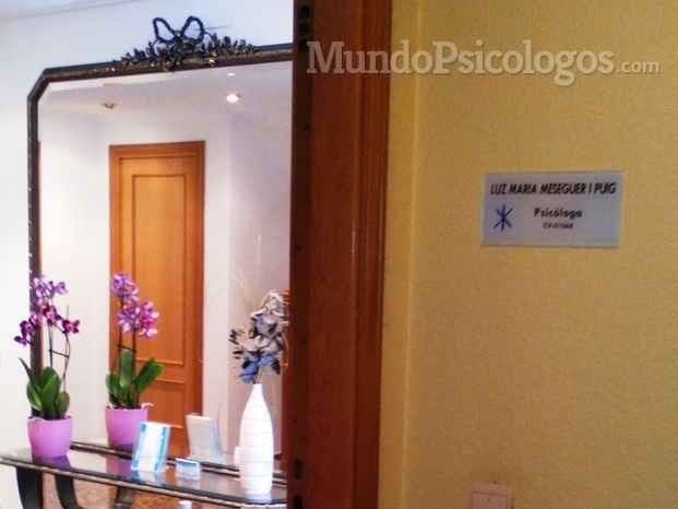 Centro De Psicología Luz Meseguer 