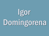 Igor Domingorena