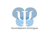 David Bejarano Domínguez