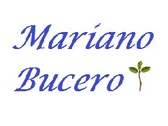 Mariano Bucero