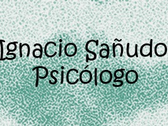 Ignacio Sañudo